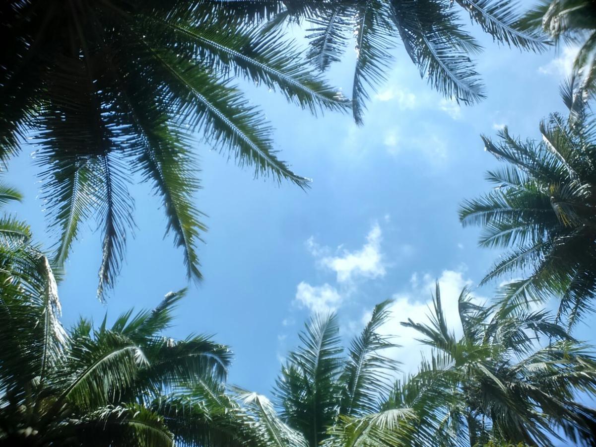 Crossbill Beach Resort Govind Nagar エクステリア 写真